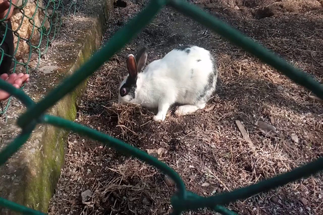 Best Budget Hotel in Jammu